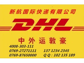 專業高效，鏈接全球 企石DHL快遞服務與南城新航貨運倉儲解決方案